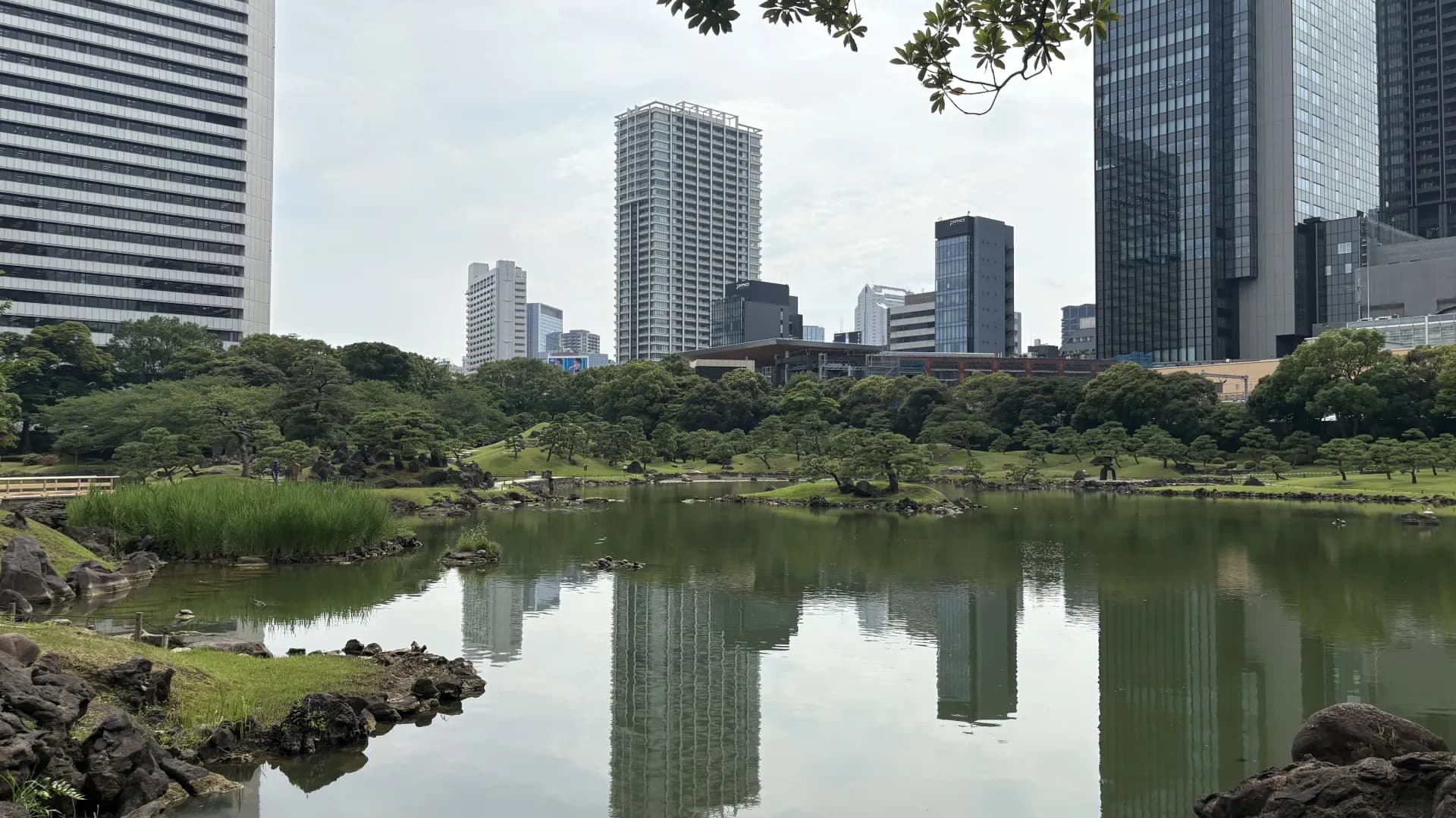 旧芝離宮恩賜庭園の泉水と中島、石組みの向こうに浜松町の高層建築が見える風景
