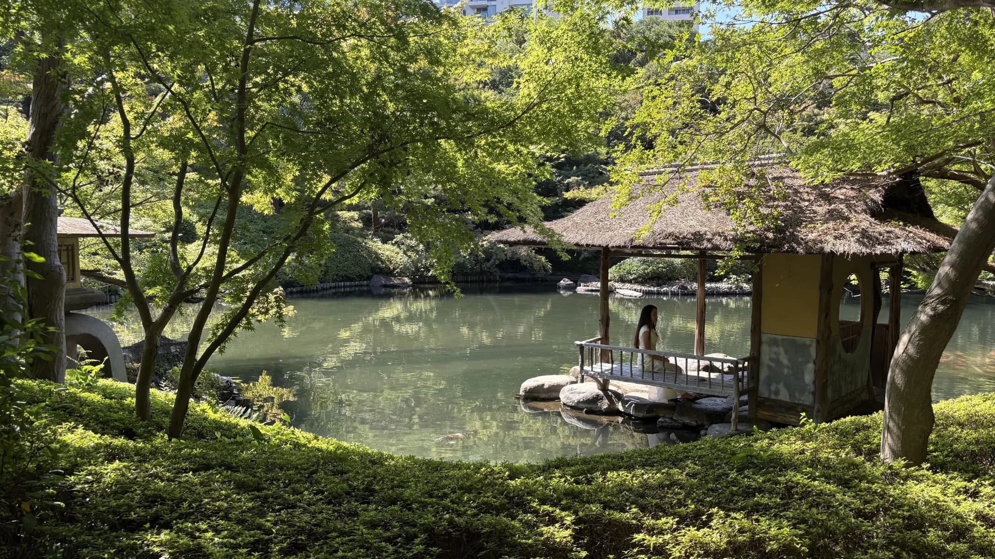 池の水面と東屋、深い緑が重なる八芳園庭園の景色